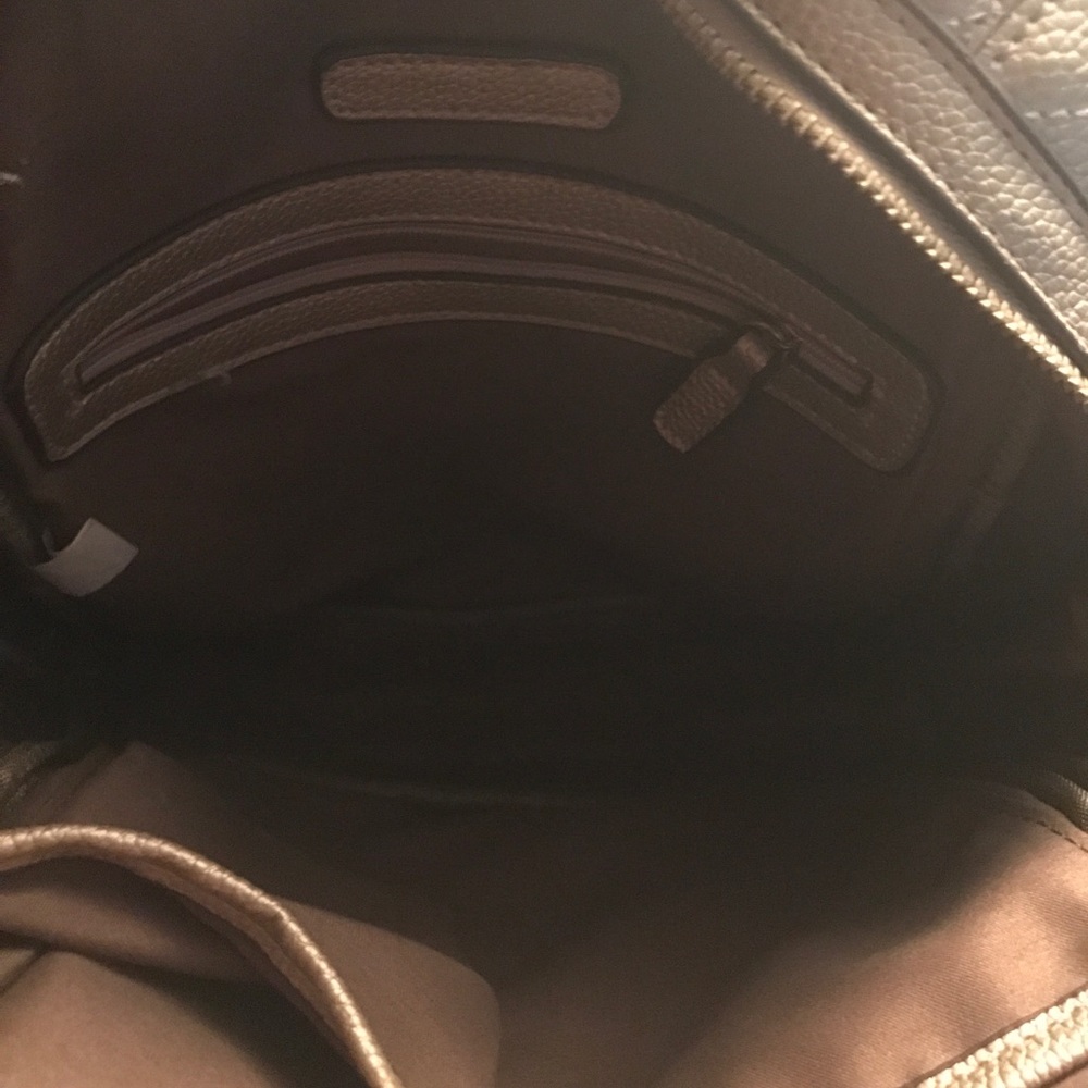 Gold Backpack/ Bag